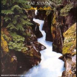 Cat Stevens : Back to Earth